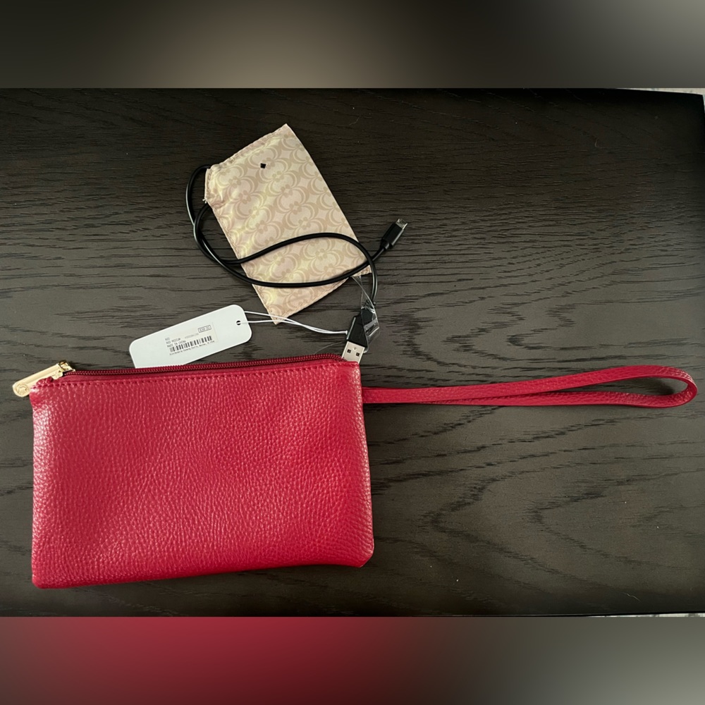 Charming Charlie Clutch